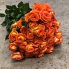 POLYANTHA HOLL ORANGE