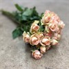 POLYANTHA AZORE ROSA/APRIKOS