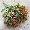 ALSTROMERIA COL.ORANGE