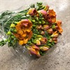FREESIA ORANGE DUBBEL MANDARIN