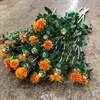 CARTHAMUS TINCTORIUS ORANGE