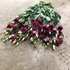 LISIANTHUS AROSA RED DUBBEL URVAL