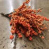 ILEX ORANGE 40 CM