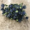 ERYNGIUM BLÅGRÖN BLUE LAGOON 50 CM