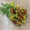 HELENIUM AUTUMN FIRE ORA/BRUN