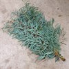 POPPEL 400 G NICHOLII