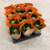 KALANCHOE 6 CM MINI ORA DUBBEL