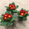 PRIMULA 10,5 CM RÖD 1X12