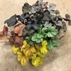 HEUCHERA 12 CM ARVID 1x6