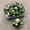 J14 KALANCHOE 6 CM MINI VIT DUBBEL 1X12