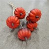 STICKS PUMPA ORANGE 1X10
