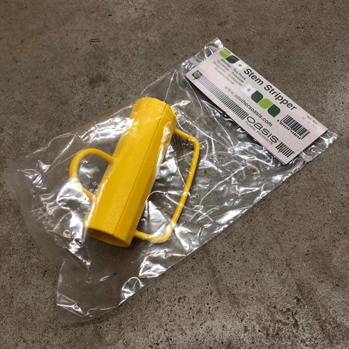 ROSAVTAGGARE GUL FRÅN OASIS