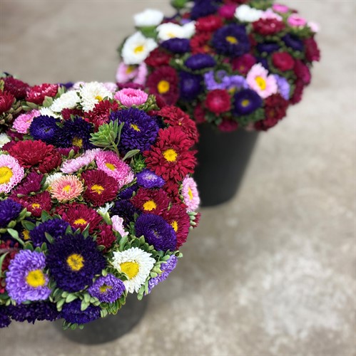 Buketter