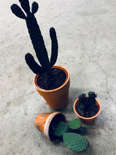 Cactusar